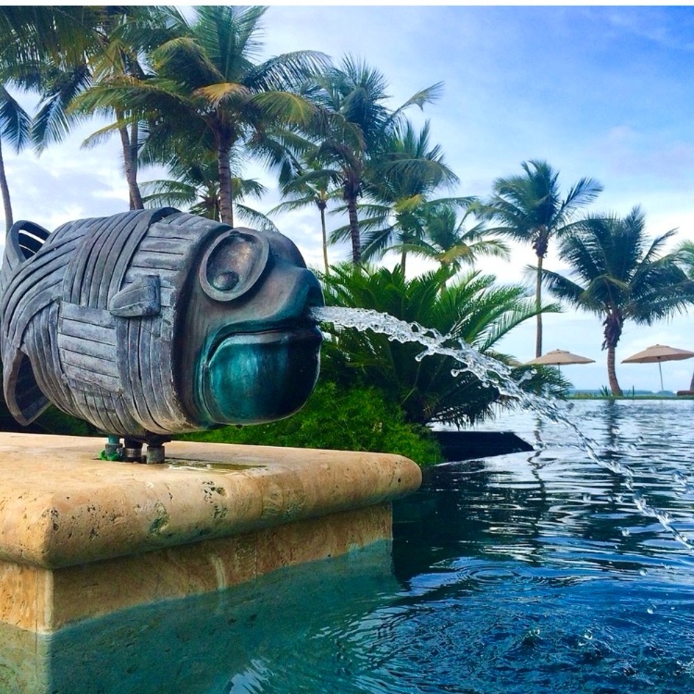 🌴🐳🐙🌴🐳🐙🌴🐳🐙🌴🐳🐙🌴🐳🐙🌴 - Picture 2 of 9